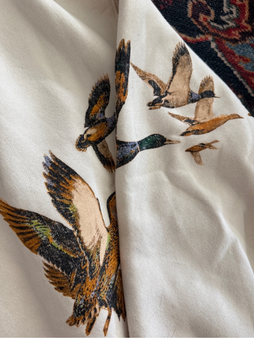 Abercrombie & Fitch Cream Crewneck Sweatshirt with Flying Duck Graphic - Picture 4 of 5